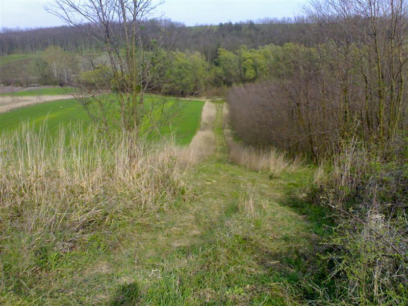 200704091745 .jpg